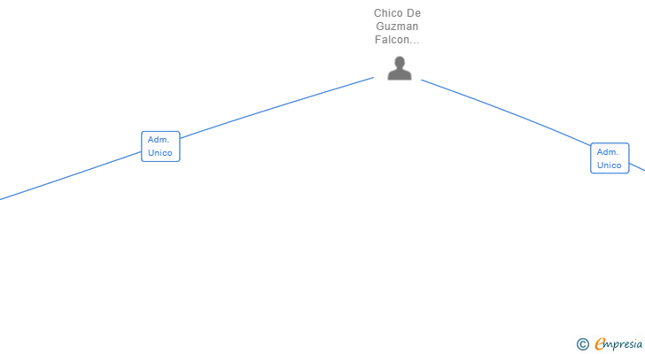 Vinculaciones societarias de SPARK TEAM TRAINING SL