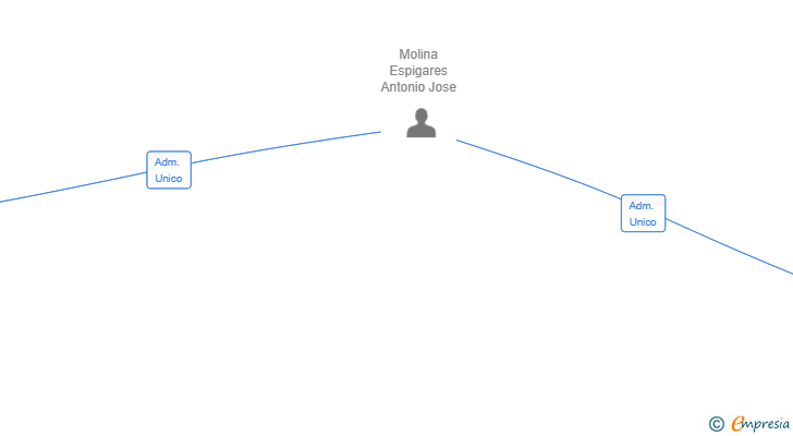 Vinculaciones societarias de VIDA EXTRAORDINARIA SL