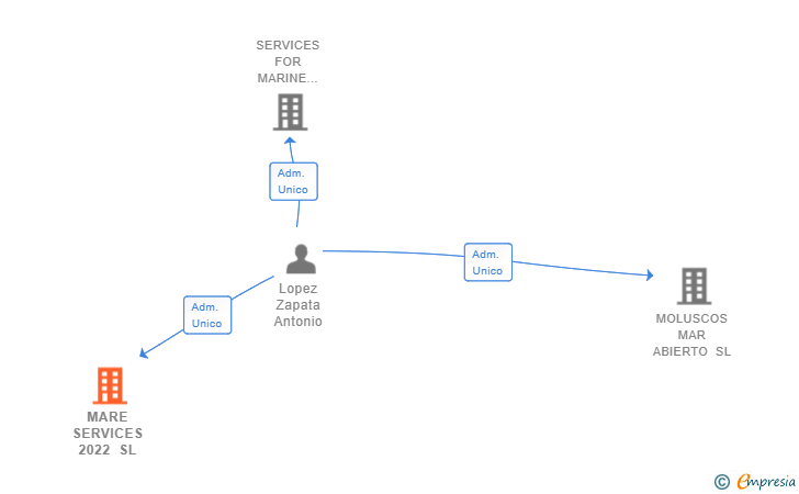 Vinculaciones societarias de MARE SERVICES 2022 SL