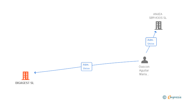 Vinculaciones societarias de BIGAGEST SL