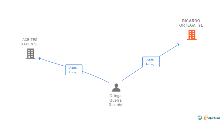 Vinculaciones societarias de RICARDO ORTEGA SL