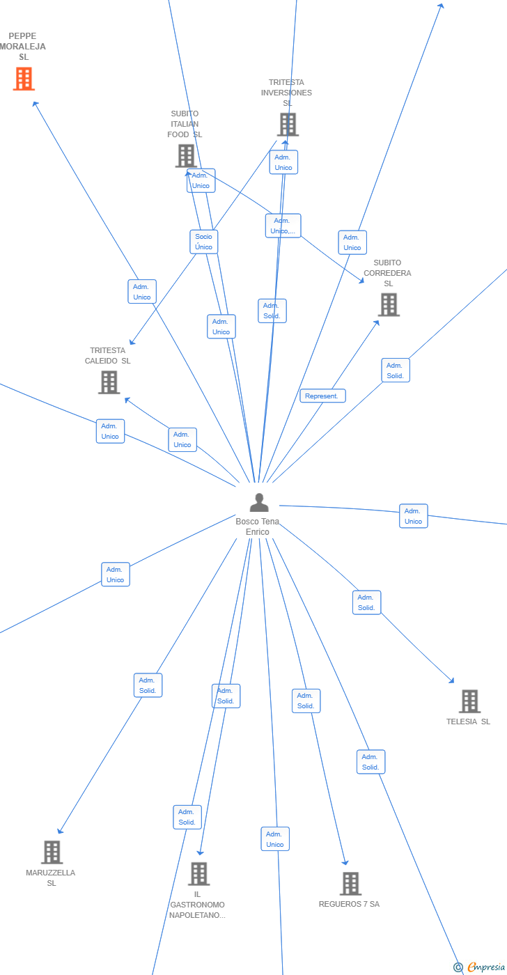 Vinculaciones societarias de PEPPE MORALEJA SL
