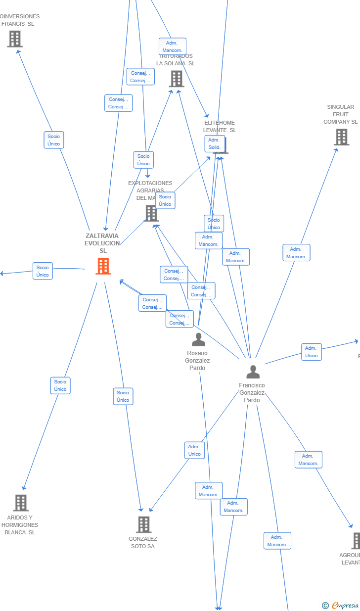Vinculaciones societarias de ZALTRAVIA EVOLUCION SL