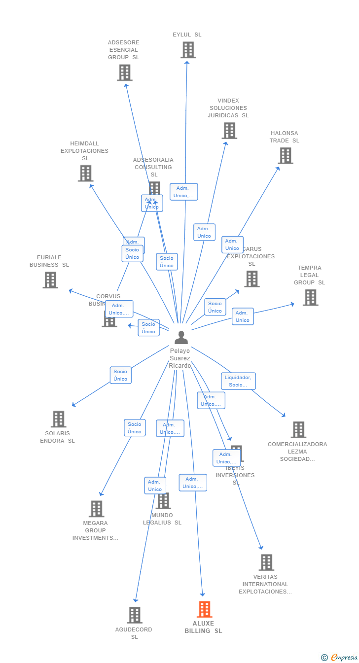 Vinculaciones societarias de ALUXE BILLING SL