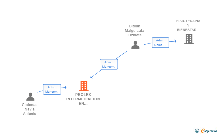 Vinculaciones societarias de PROLEX INTERMEDIACION EN SERVICIOS JURIDICOS SL