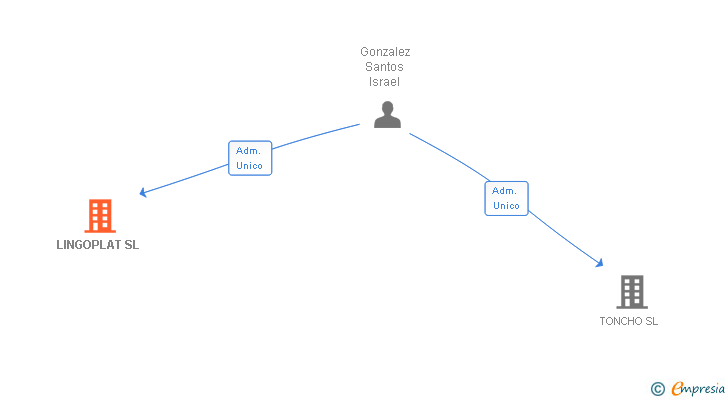 Vinculaciones societarias de LINGOPLAT SL