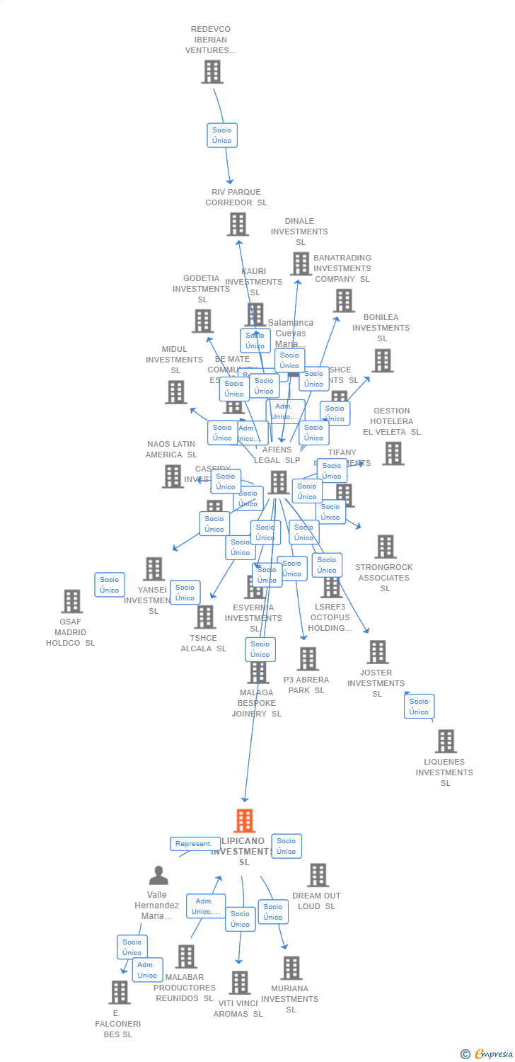 Vinculaciones societarias de LIPICANO INVESTMENTS SL