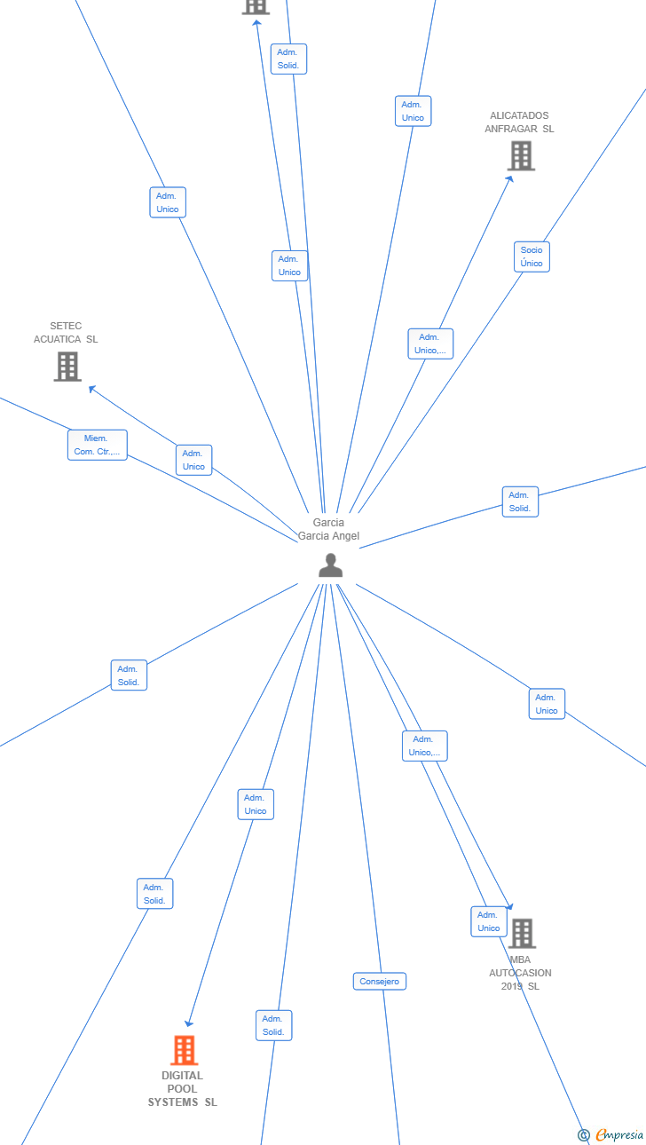 Vinculaciones societarias de DIGITAL POOL SYSTEMS SL