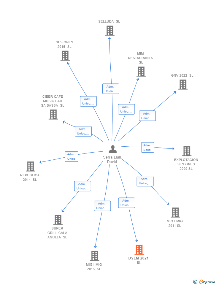Vinculaciones societarias de DSLM 2021 SL
