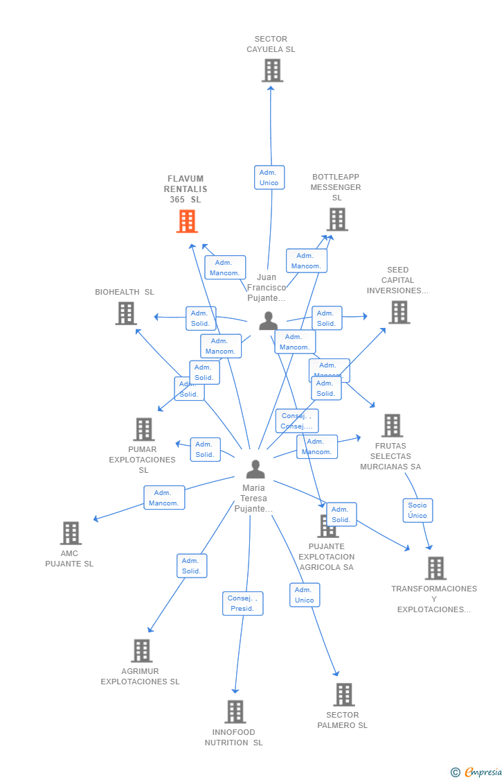 Vinculaciones societarias de FLAVUM RENTALIS 365 SL