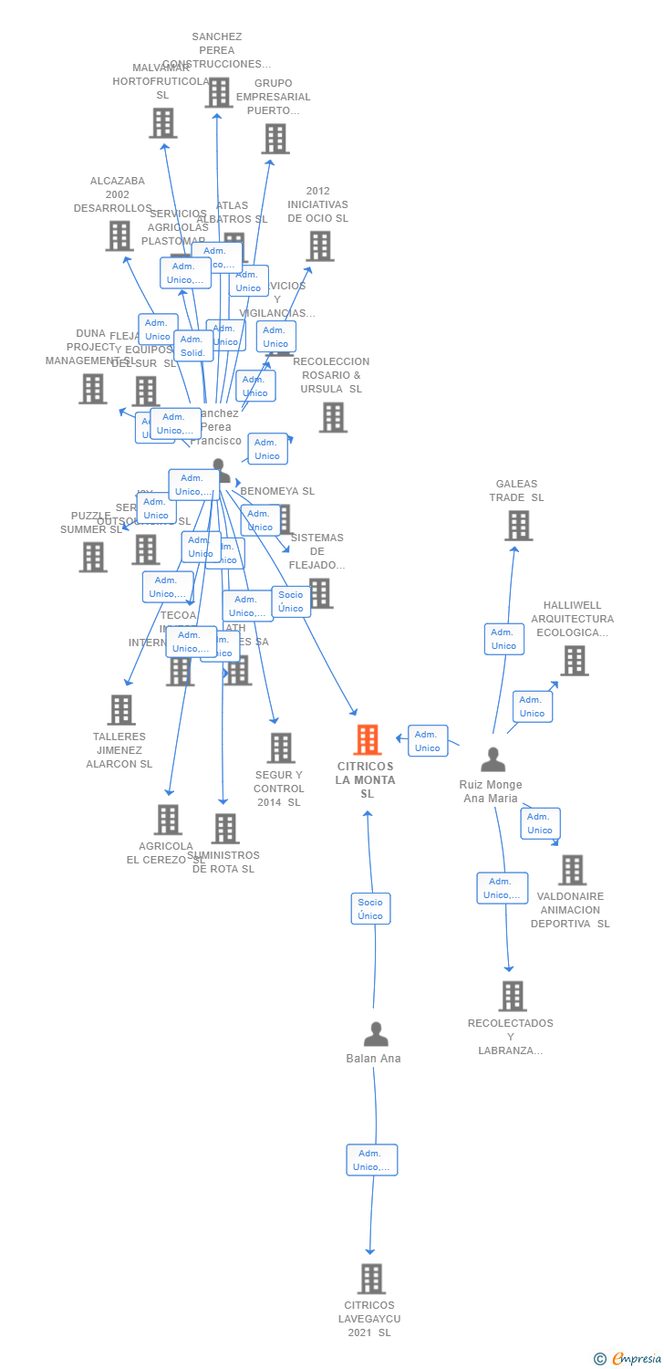 Vinculaciones societarias de CITRICOS LA MONTA SL