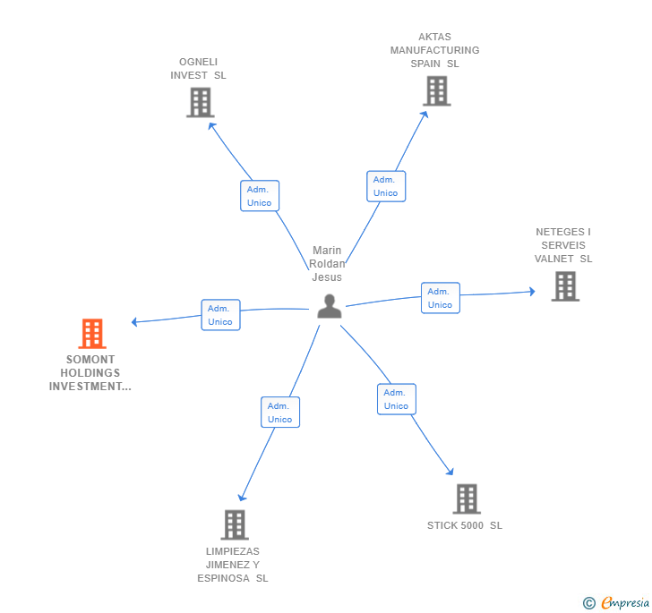 Vinculaciones societarias de SOMONT HOLDINGS INVESTMENT SL