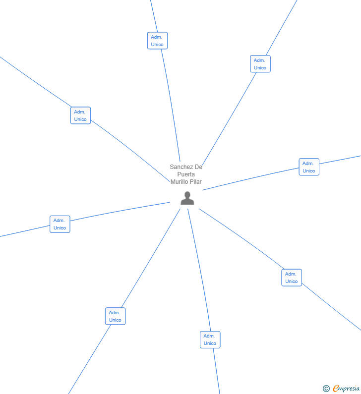 Vinculaciones societarias de DIZU 2015 SL