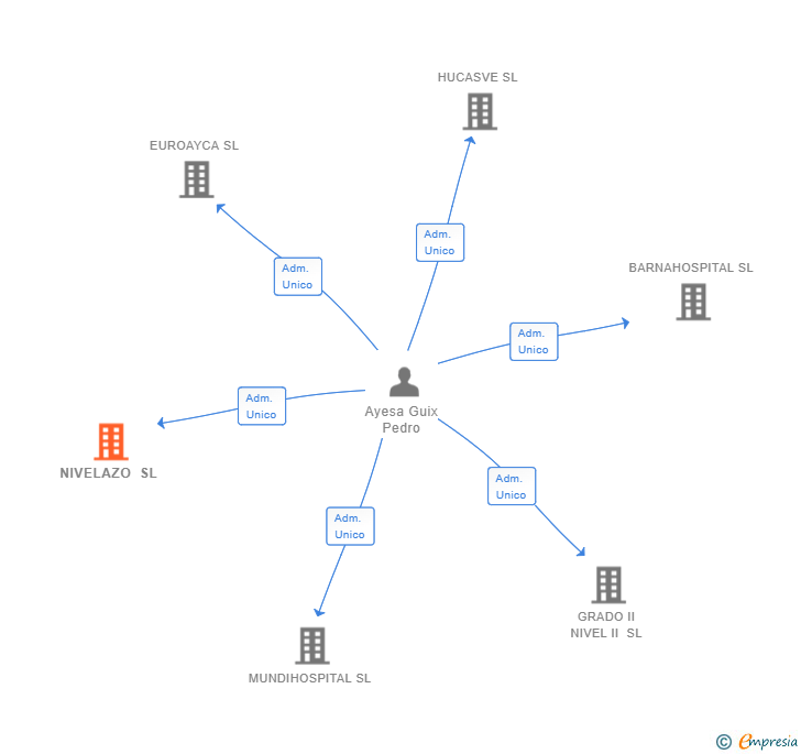 Vinculaciones societarias de NIVELAZO SL