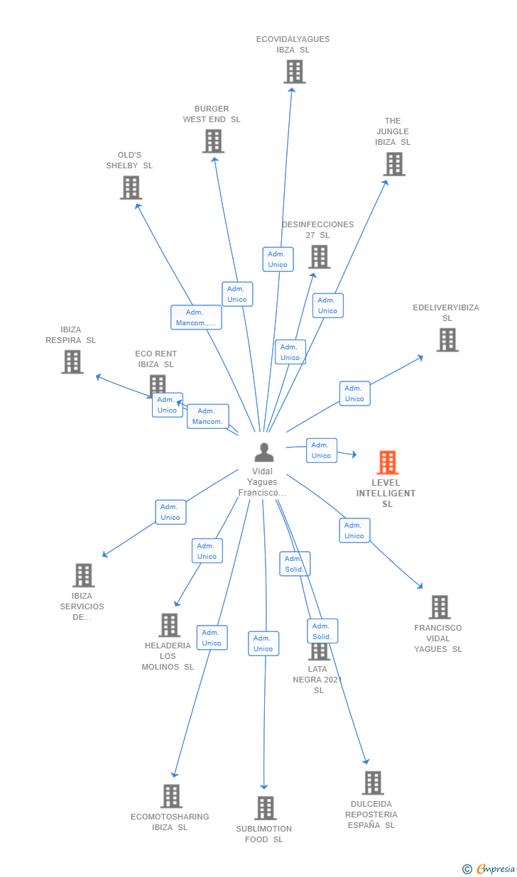 Vinculaciones societarias de LEVEL INTELLIGENT SL