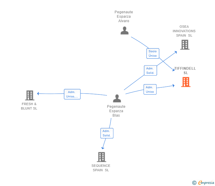 Vinculaciones societarias de TIFFINDELL SL