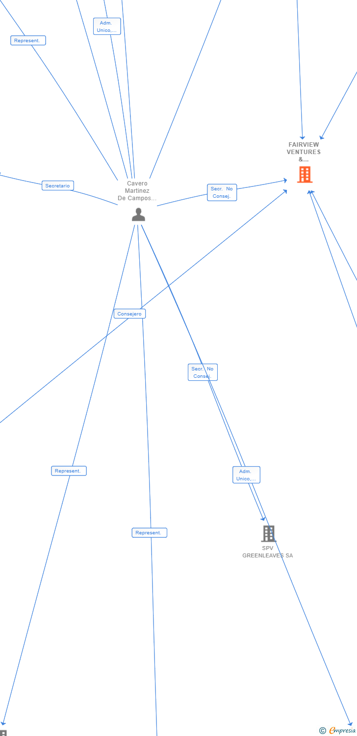 Vinculaciones societarias de FAIRVIEW VENTURES & INVESTMENTS SL