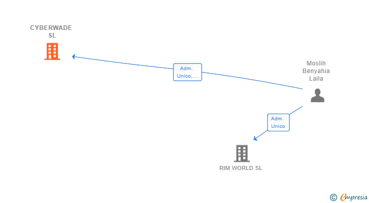Vinculaciones societarias de CYBERWADE SL