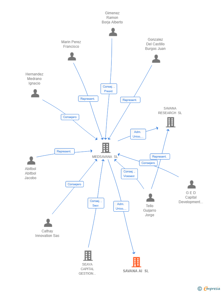 Vinculaciones societarias de SAVANA AI SL
