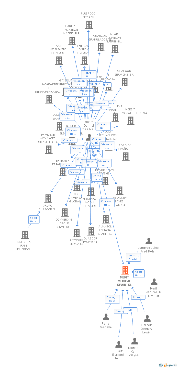 Vinculaciones societarias de MERIT MEDICAL SPAIN SL