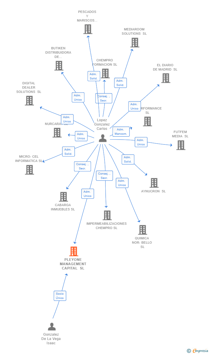 Vinculaciones societarias de PLEYONE MANAGEMENT CAPITAL SL