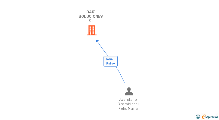 Vinculaciones societarias de RAIZ SOLUCIONES SL