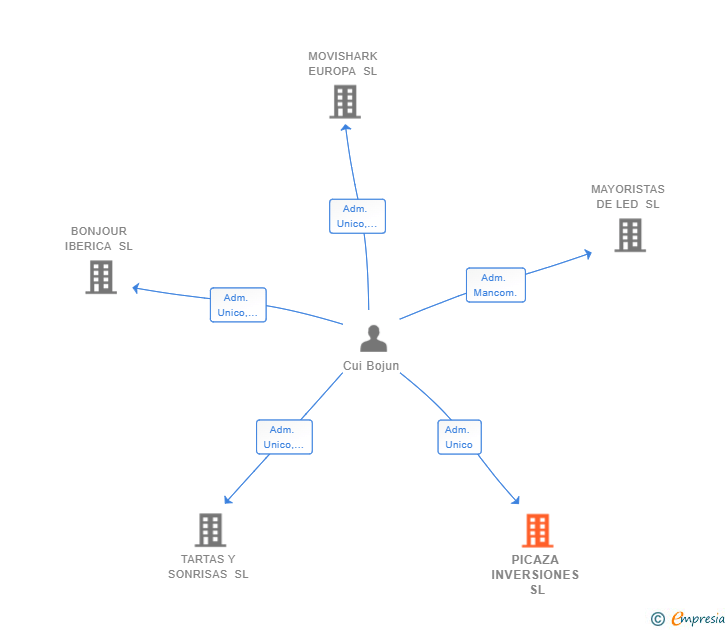 Vinculaciones societarias de PICAZA INVERSIONES SL