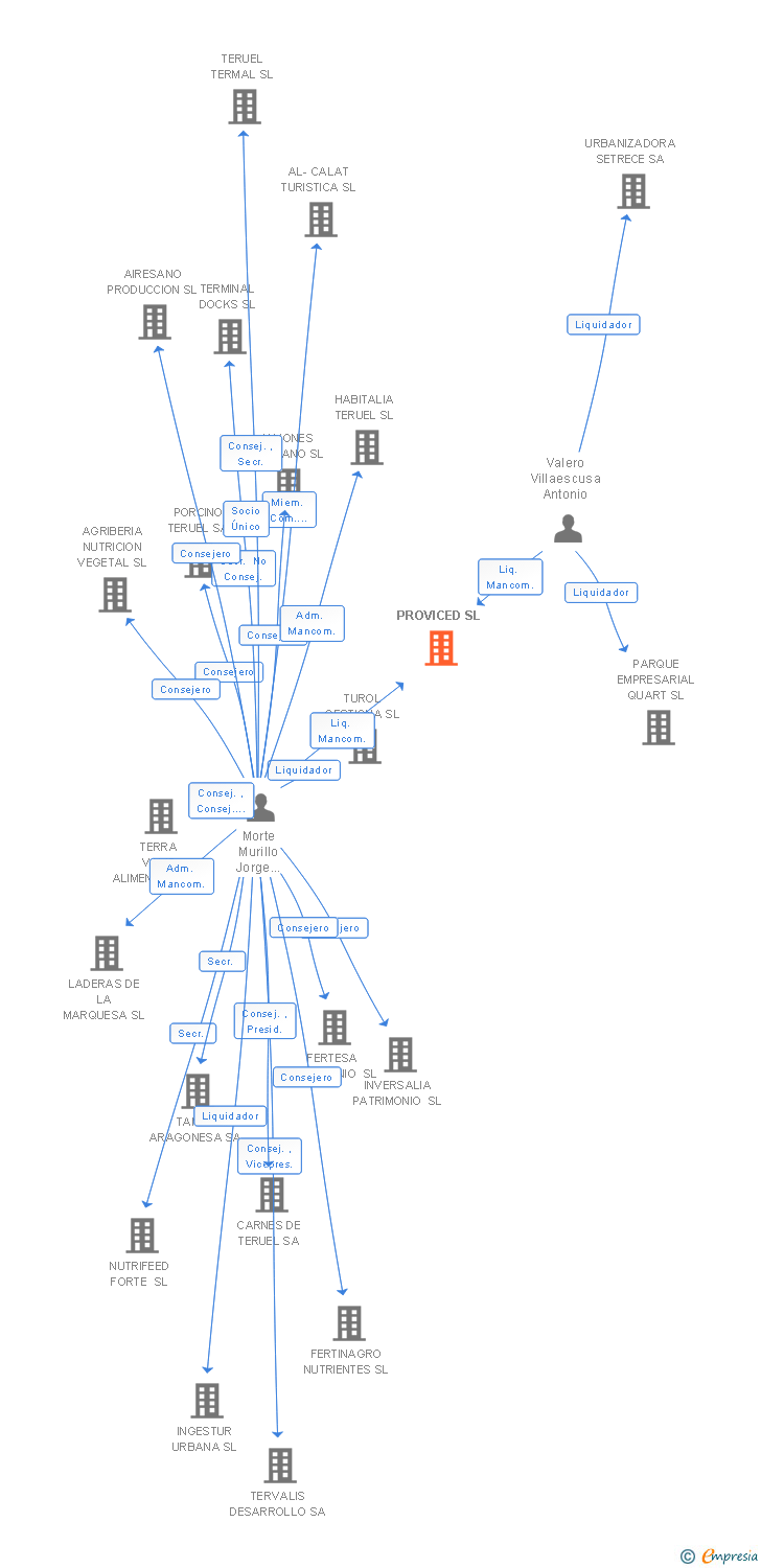 Vinculaciones societarias de PROVICED SL