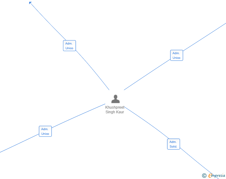 Vinculaciones societarias de WARIS CITY SL