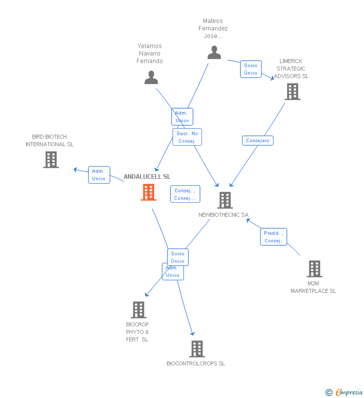 Vinculaciones societarias de ANDALUCELL SL
