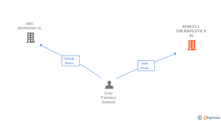 Vinculaciones societarias de SENCELL THERAPEUTICS SL