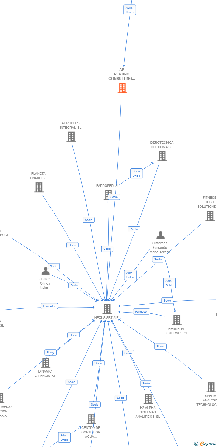 Vinculaciones societarias de AP PLATINO CONSULTING SL