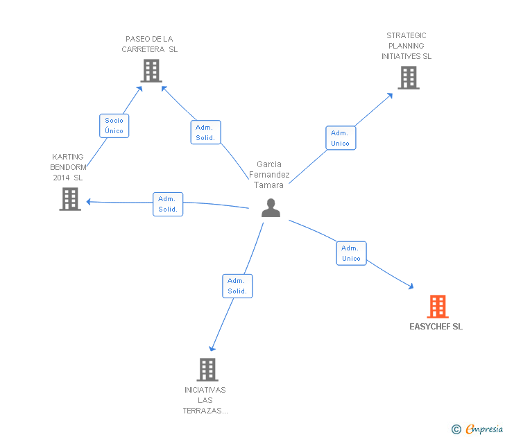 Vinculaciones societarias de THE DIGITAL MINDS GLOBAL GROUP SL (EXTINGUIDA)