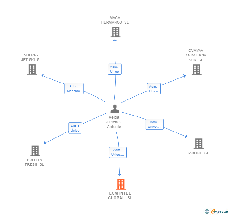 Vinculaciones societarias de LCM INTEL GLOBAL SL