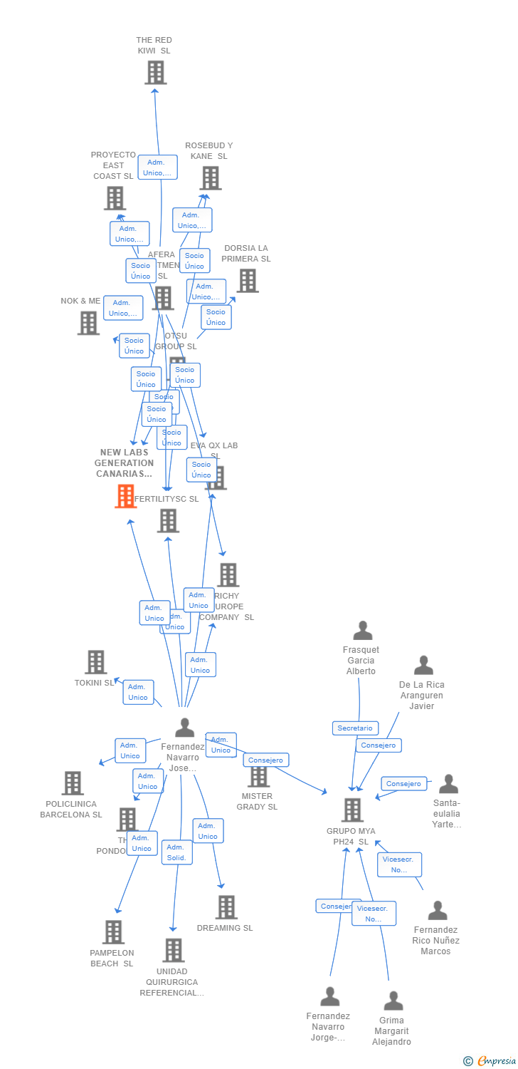 Vinculaciones societarias de NEW LABS GENERATION CANARIAS SL