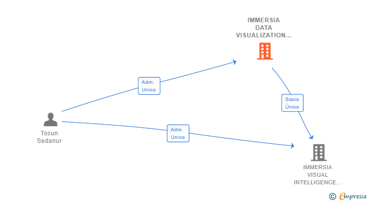 Vinculaciones societarias de IMMERSIA DATA VISUALIZATION SL