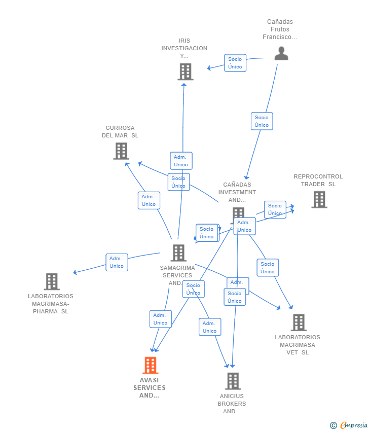 Vinculaciones societarias de AVASI SERVICES AND INVESTMENT SL