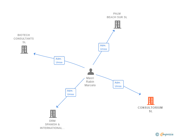 Vinculaciones societarias de CONSULTORIUM SL