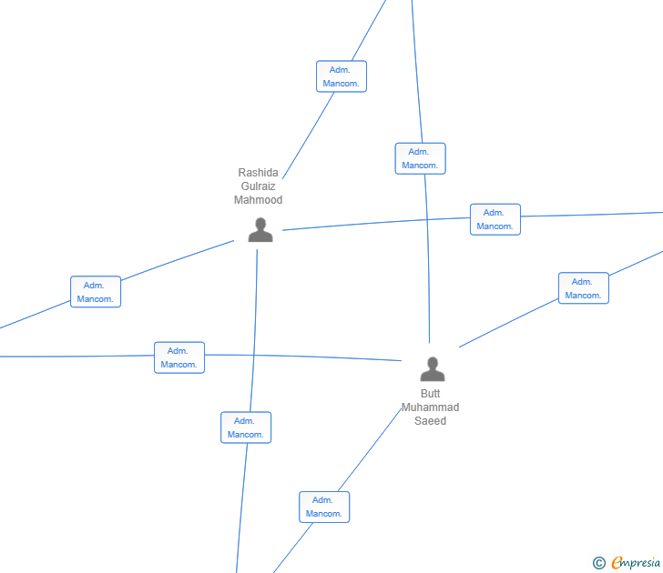 Vinculaciones societarias de UNION MULTIBUSINESS SL