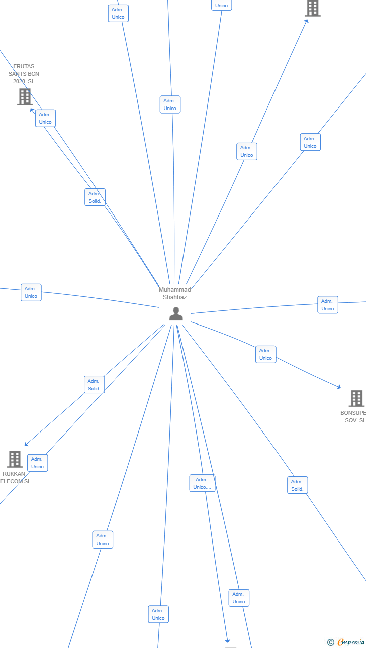 Vinculaciones societarias de HASSAN WORKS SL