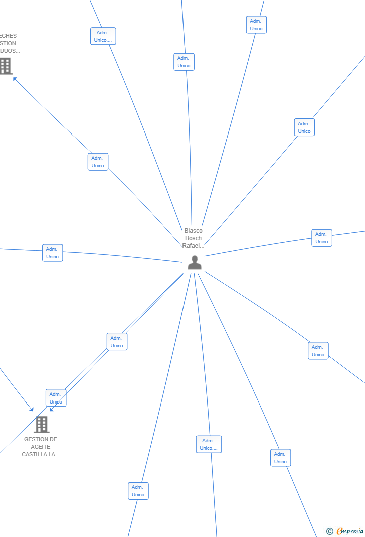 Vinculaciones societarias de VR-SERVICIOSY SOLUCIONES SL