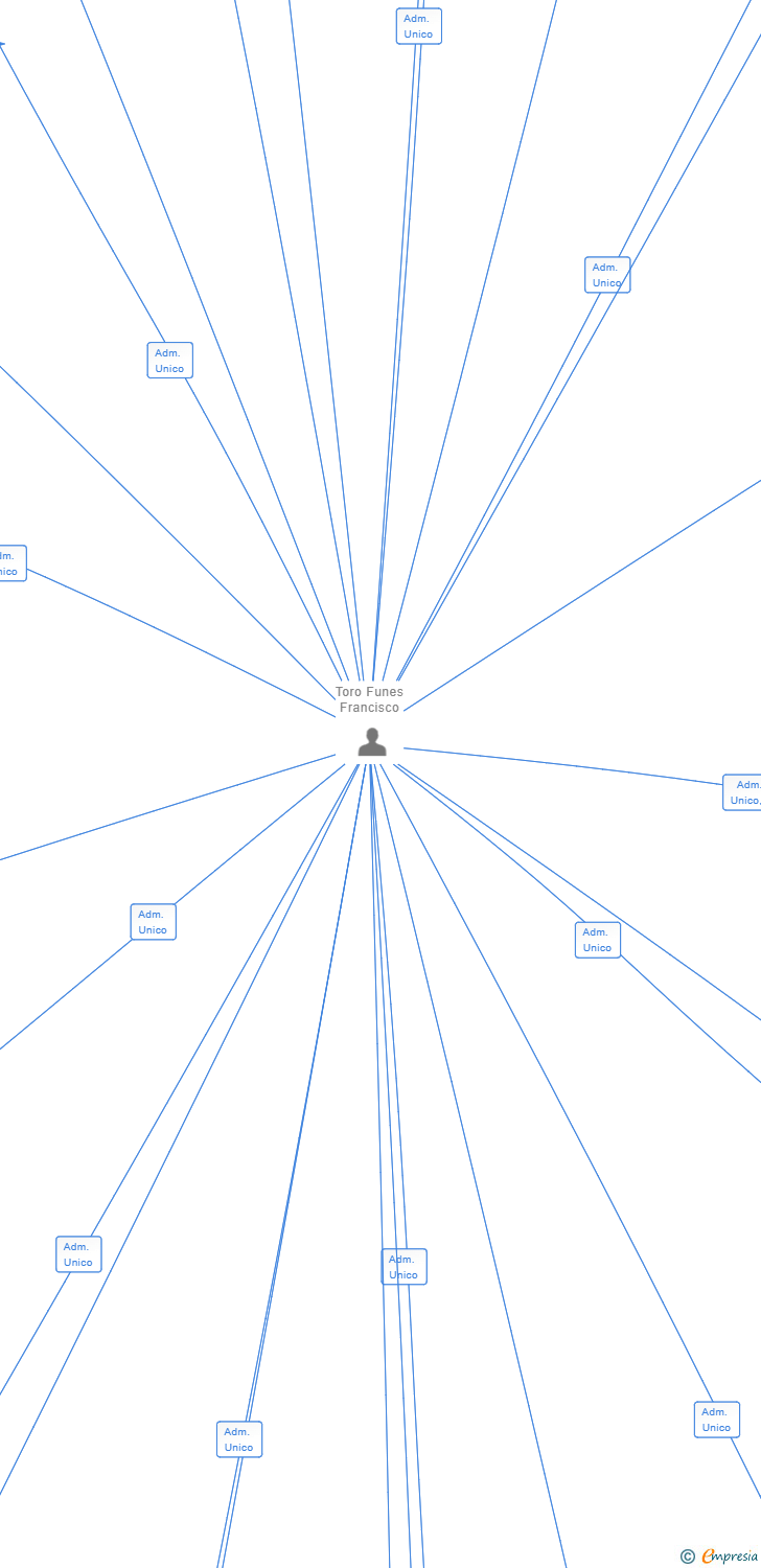 Vinculaciones societarias de SOKO FEST 2020 AIE