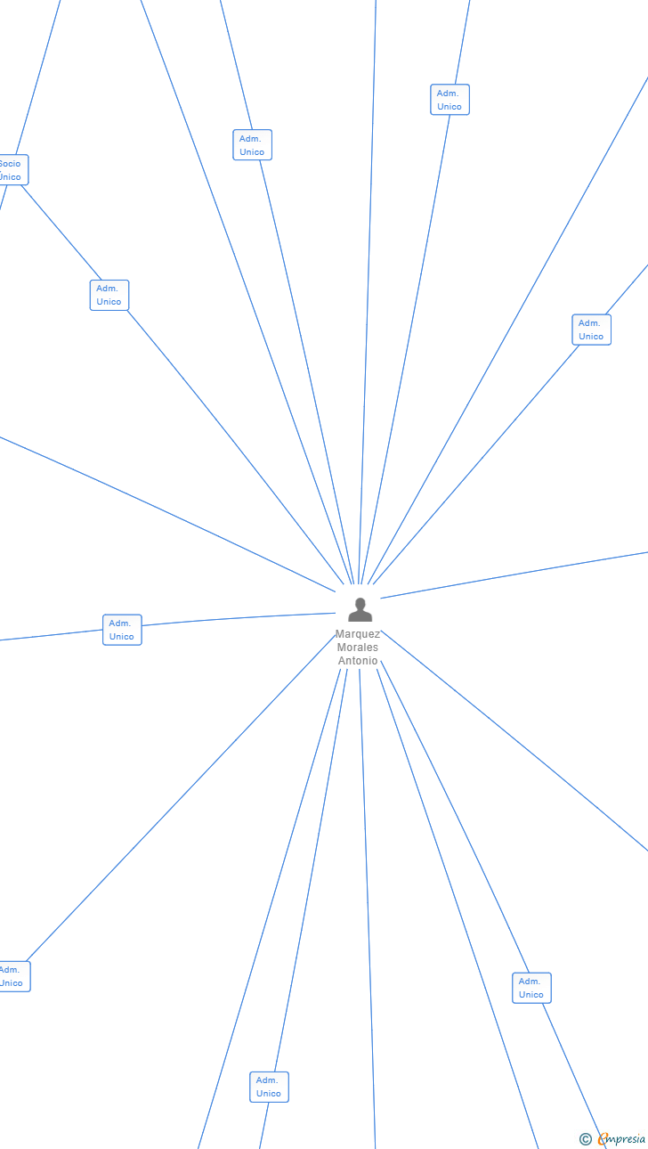 Vinculaciones societarias de PARALELEPIPEDO 2000 SL