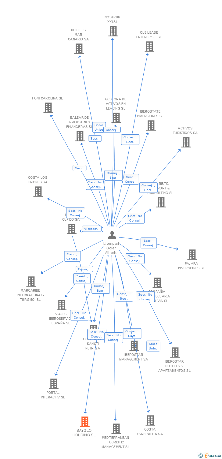 Vinculaciones societarias de SAYGLO HOLDING SL