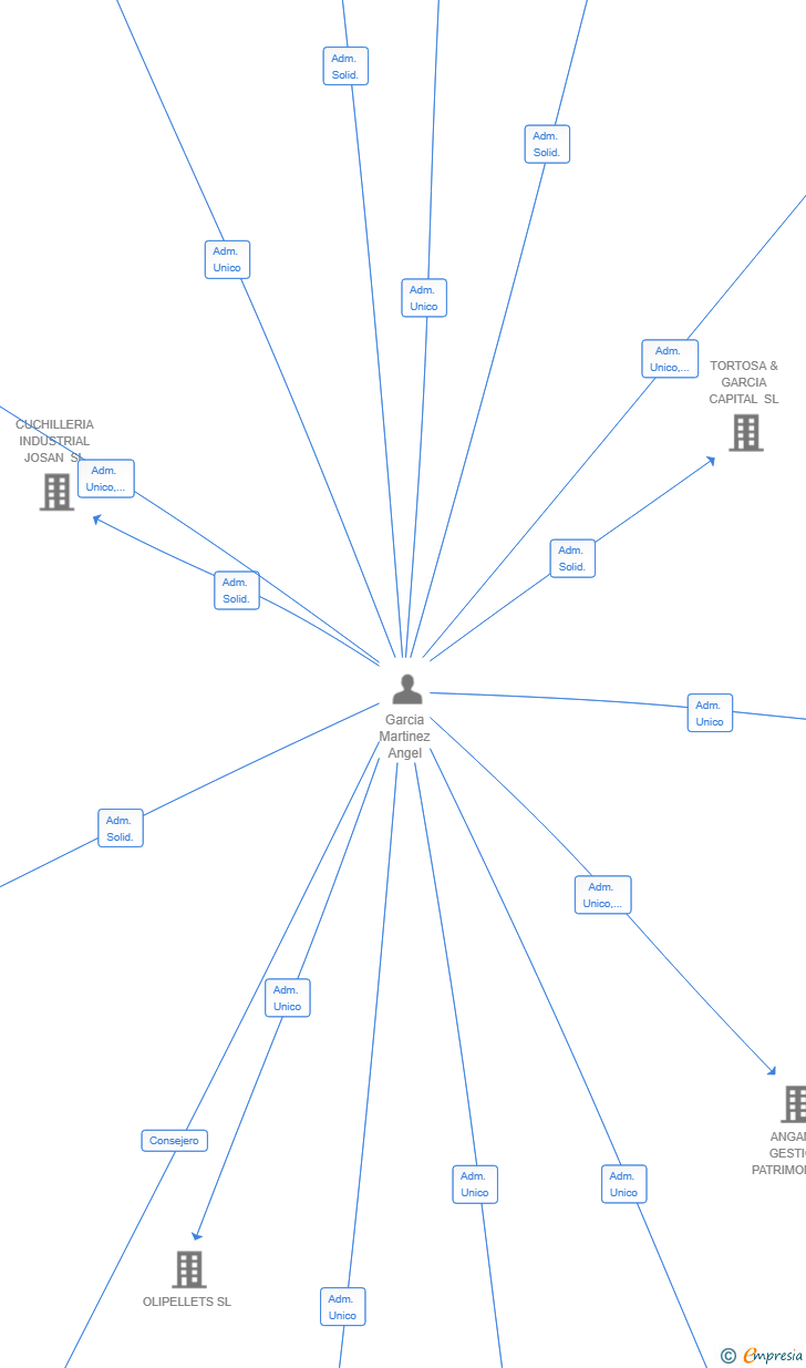 Vinculaciones societarias de AIG ESPAIS REFORMATS SL
