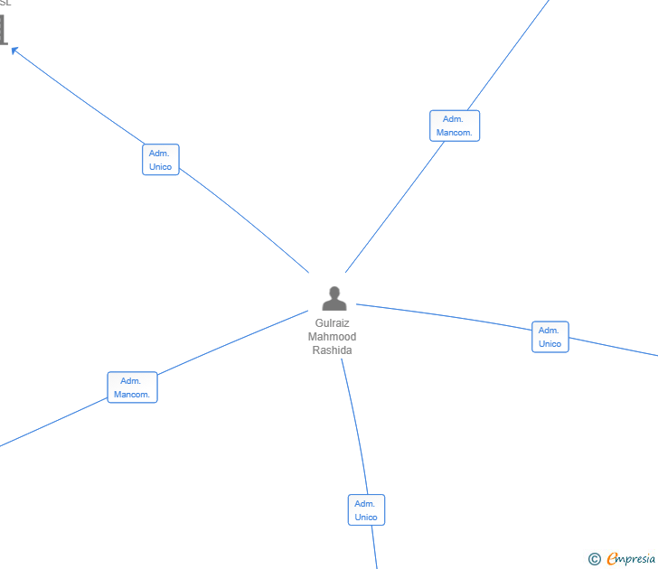 Vinculaciones societarias de MEGAMART 2025 SL