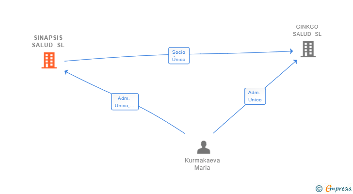 Vinculaciones societarias de SINAPSIS SALUD SL