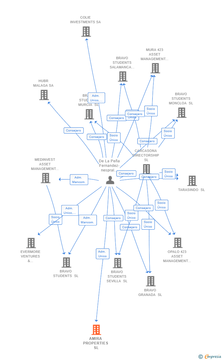 Vinculaciones societarias de AMIRA PROPERTIES SL