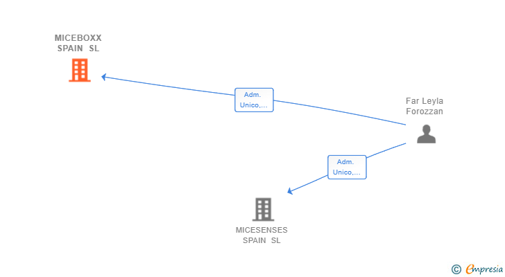 Vinculaciones societarias de MICEBOXX SPAIN SL