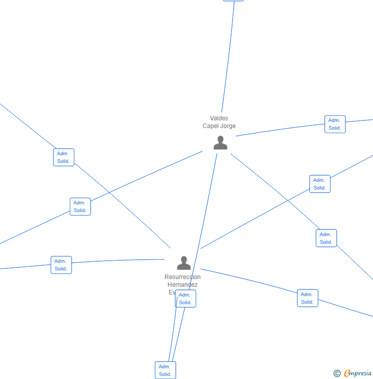 Vinculaciones societarias de AMADRIEVA SOLUCIONES SL